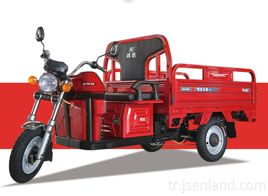 electric tricycle with canopy for adult
